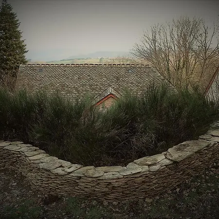 Domaine Des Marequiers Alchemille