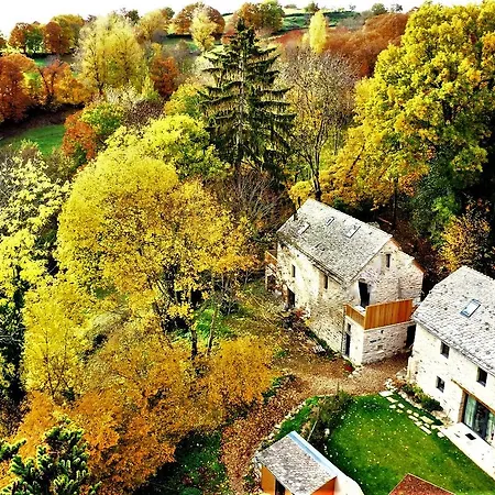 Domaine Des Marequiers Alchemille